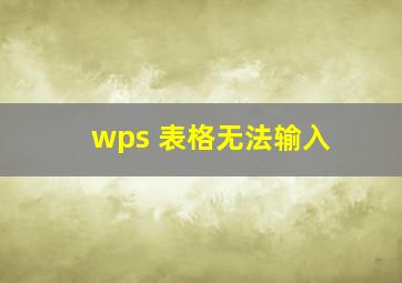 wps 表格无法输入